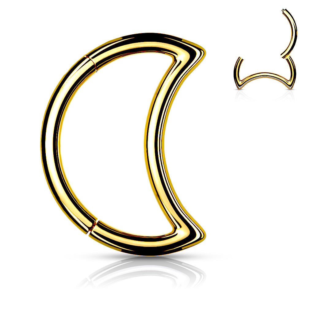 High Quality Precision Surgical Steel Crescent Hinged Segment Hoop Rings